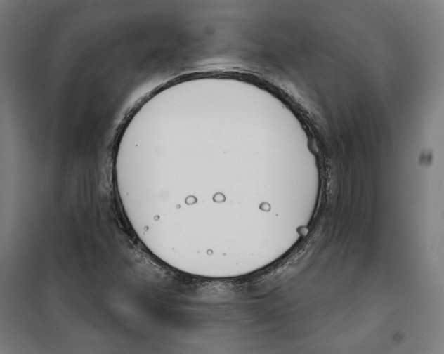 X0000100321358200807031201