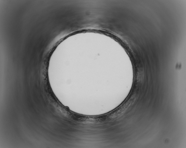 X0000100321359200807031201