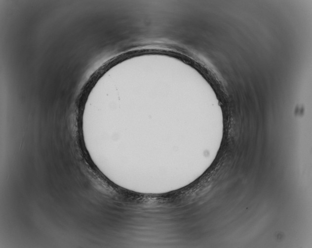 X0000100321360200807031201