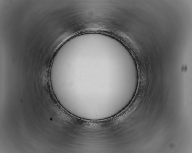 X0000100321361200807031201