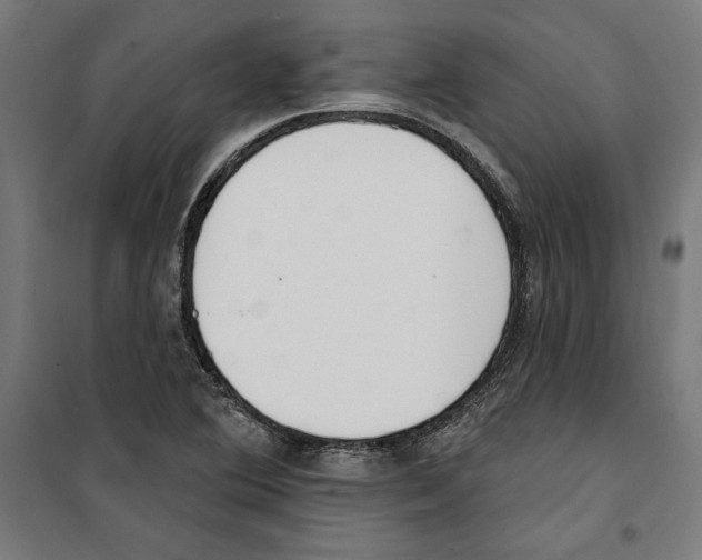 X0000100321364200807031201