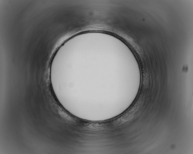 X0000100321366200807031200