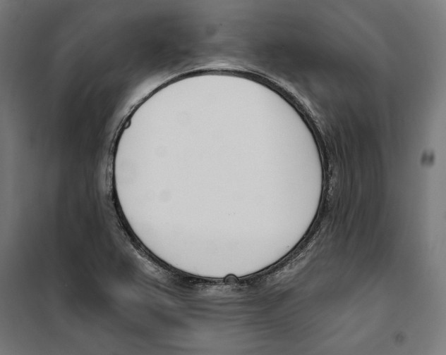 X0000100321367200807031200