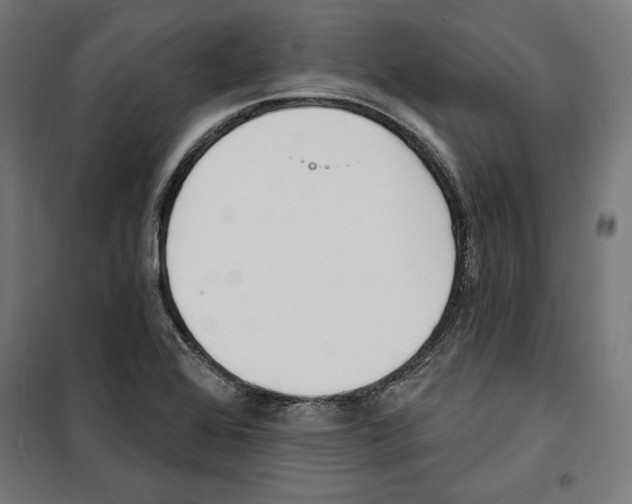 X0000100321368200807031200