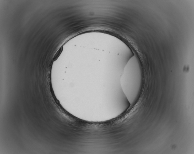 X0000100321369200807031200