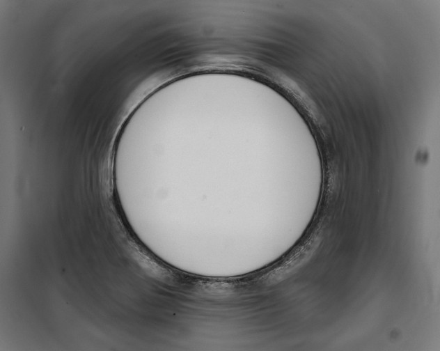 X0000100321370200807031200