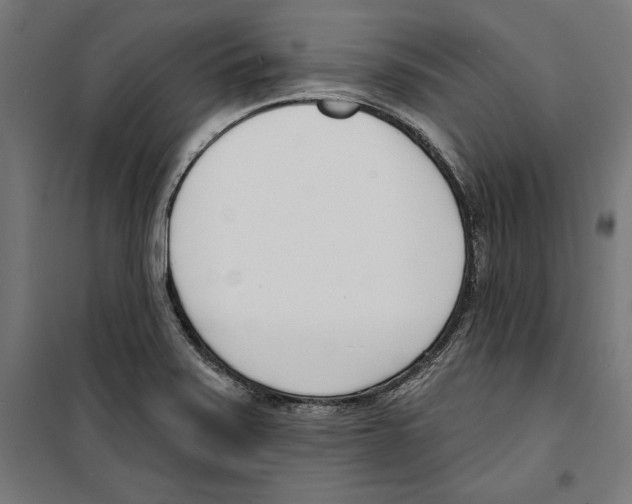 X0000100321371200807031200