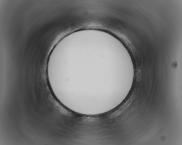 X0000100321374200807031200