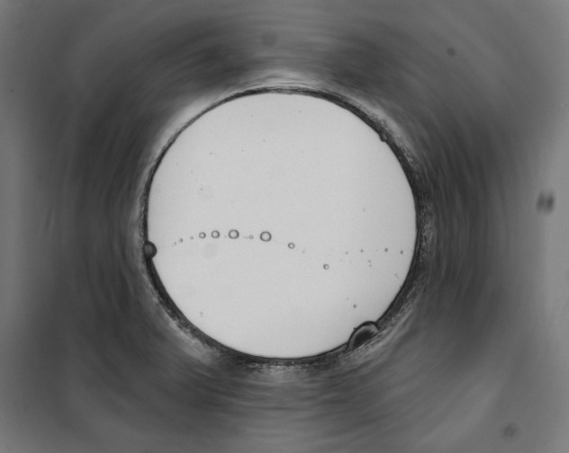 X0000100321375200807031200