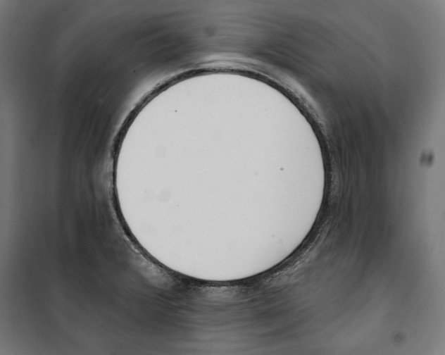 X0000100321376200807031200