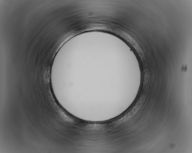 X0000100321377200807031200