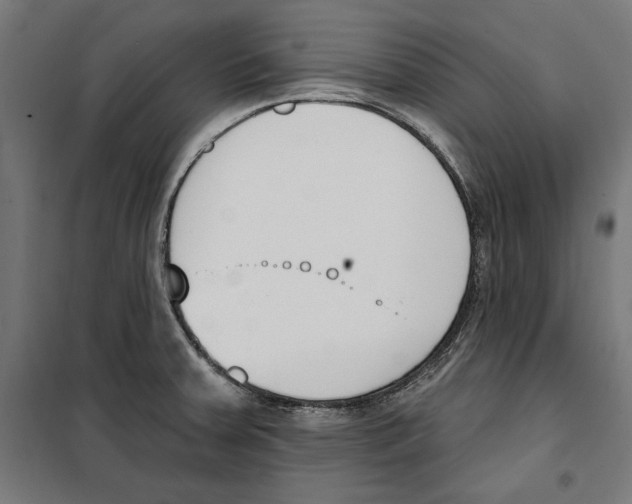 X0000100321379200807031200