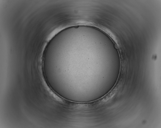 X0000100321381200807031200