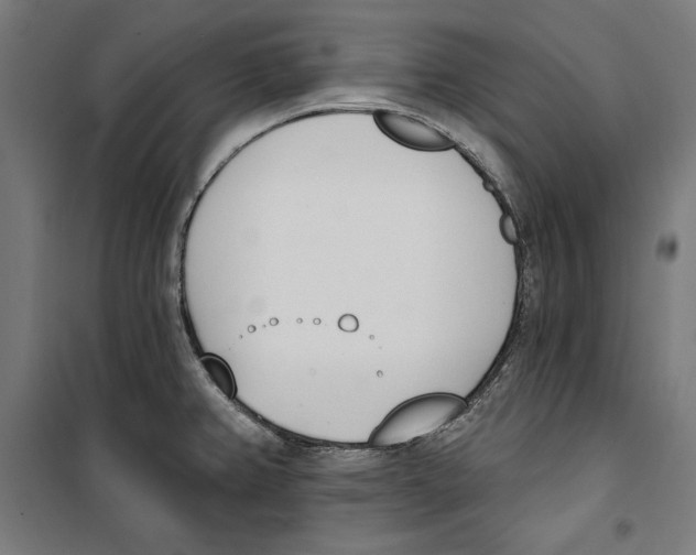 X0000100321382200807031200