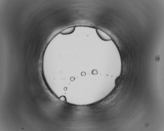 X0000100321383200807031200