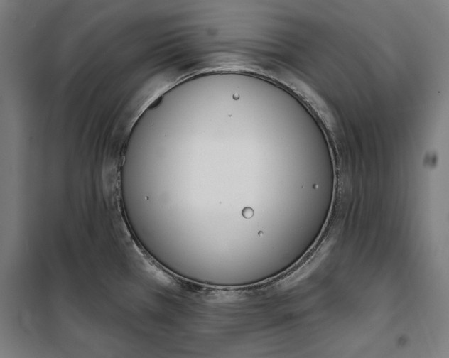 X0000100321385200807031200