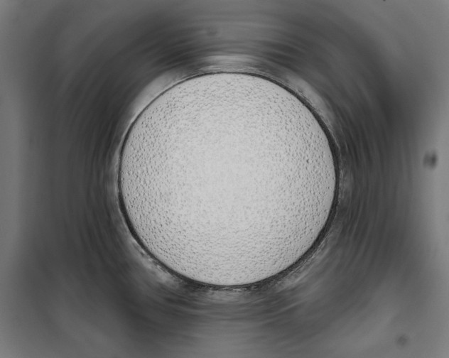 X0000100321386200807031200