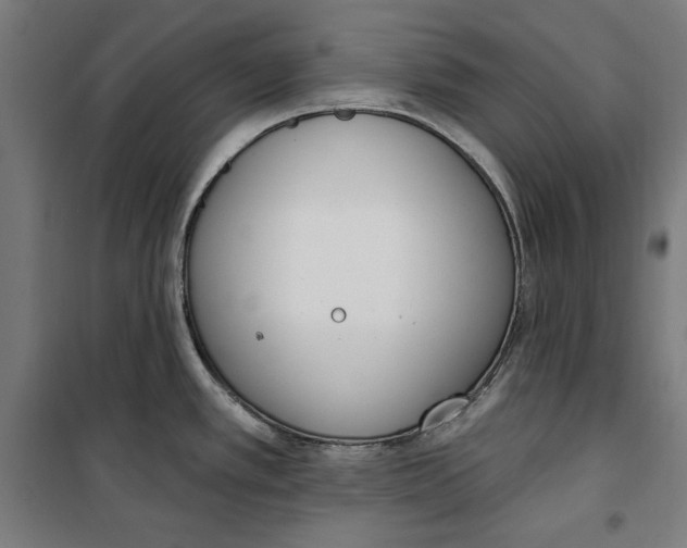 X0000100321389200807031200