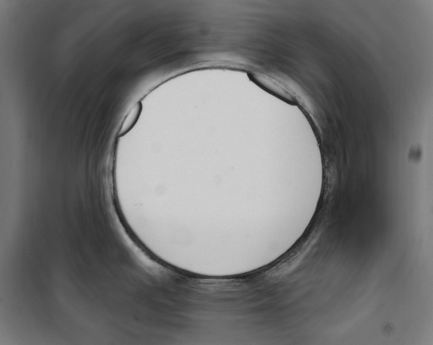 X0000100321391200807031200