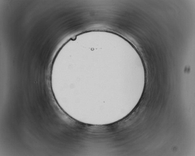 X0000100321392200807031200