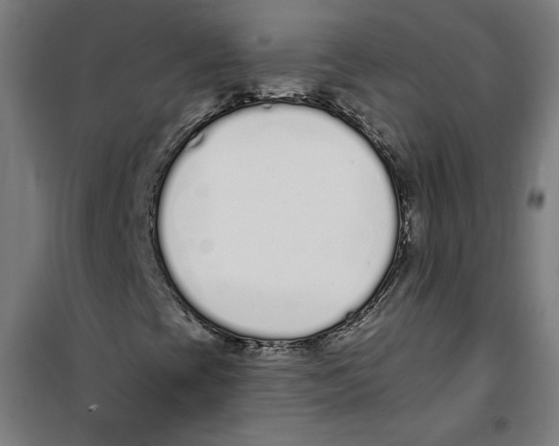 X0000100321393200807031159