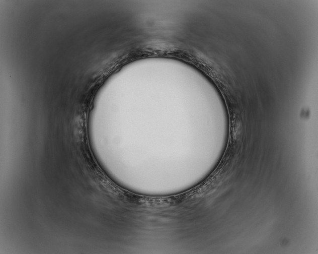 X0000100321397200807031159