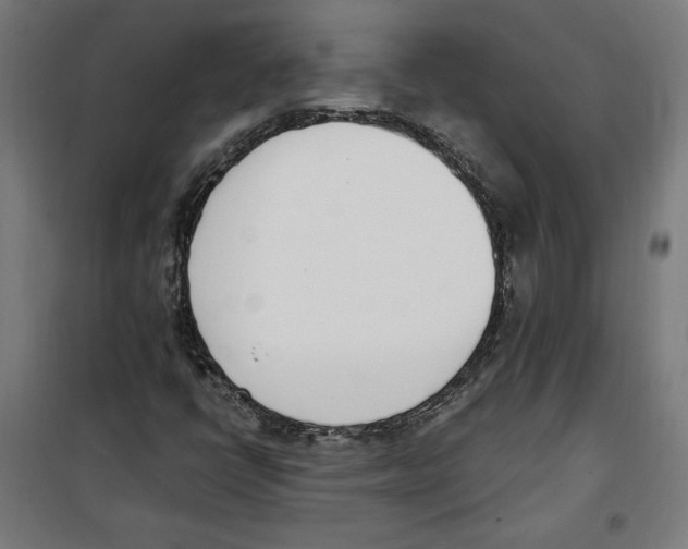 X0000100321398200807031159