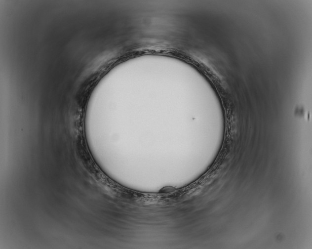 X0000100321399200807031159