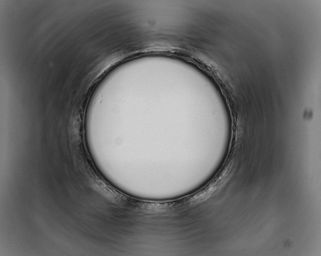 X0000100321401200807031159