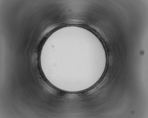 X0000100321402200807031159