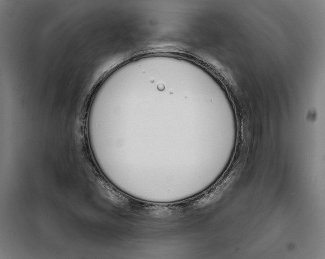 X0000100321405200807031159