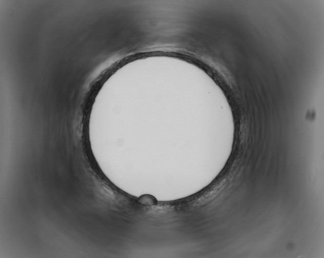 X0000100321406200807031159