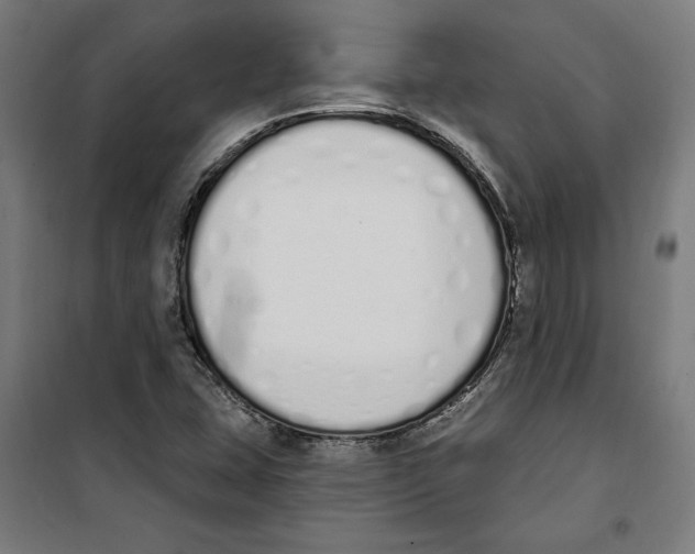 X0000100321407200807031159