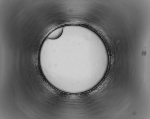 X0000100321409200807031159