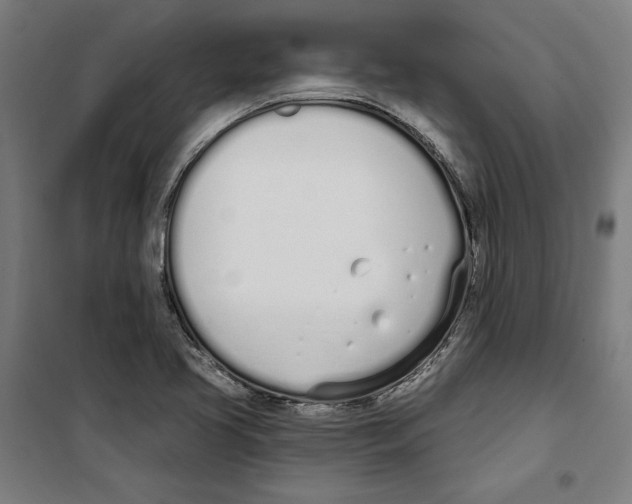 X0000100321413200807031200