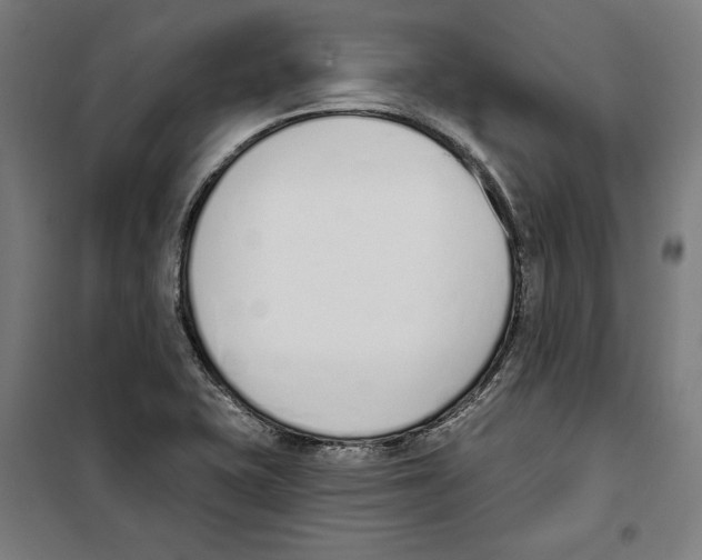 X0000100321415200807031200