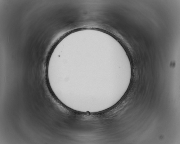 X0000100321416200807031200