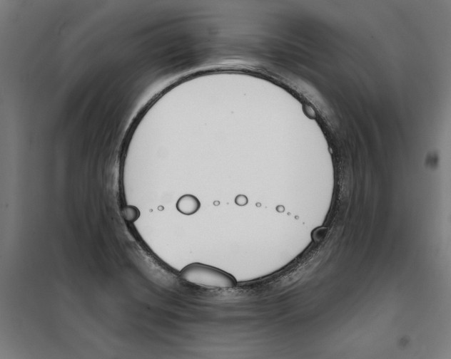 X0000100321420200807031200