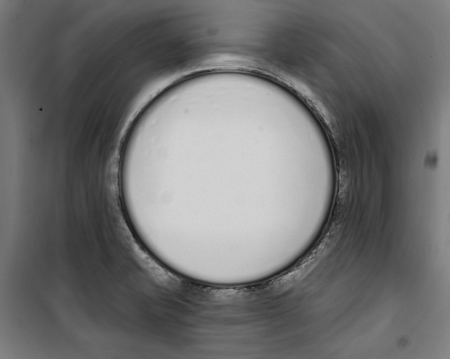 X0000100321421200807031200