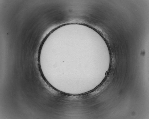 X0000100321422200807031200