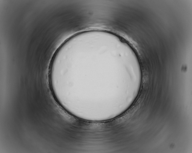 X0000100321423200807031200