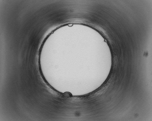 X0000100321424200807031200