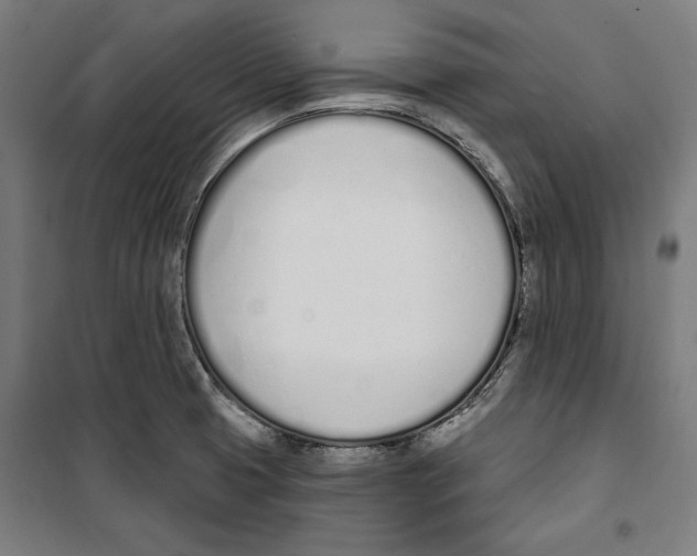 X0000100321425200807031200