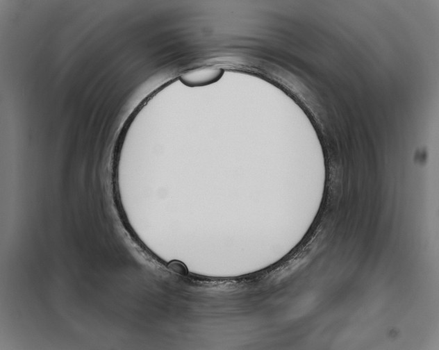 X0000100321426200807031200