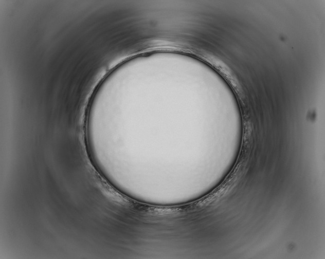 X0000100321427200807031200