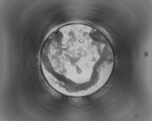 X0000100321428200807031200