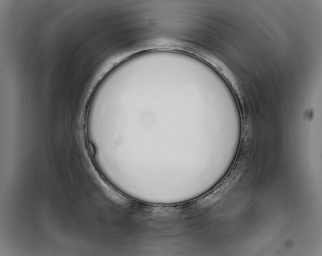 X0000100321429200807031200