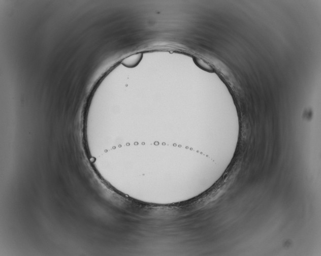 X0000100321430200807031200