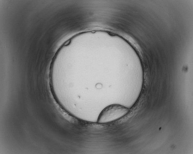 X0000100321431200807031200