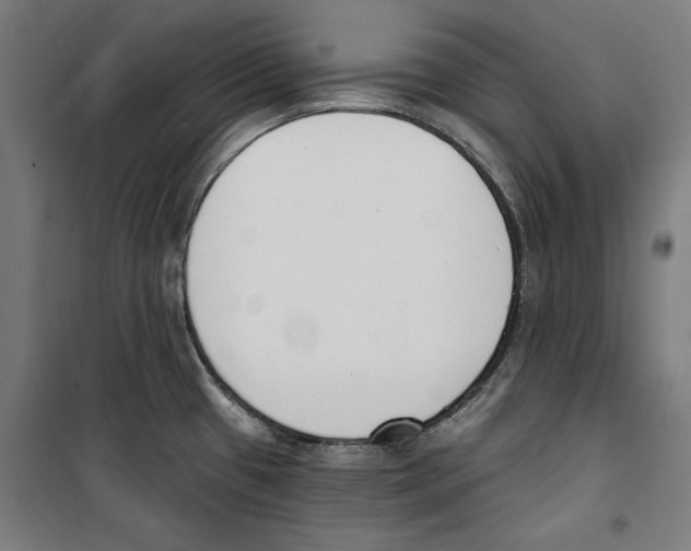 X0000100321433200807031200